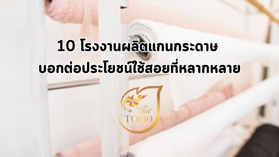 10 โรงงานผลิตแกนกระดาษ บอกต่อประโยชน์ใช้สอยที่หลากหลาย